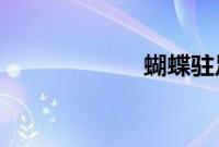 蝴蝶驻足酒杯喝醉