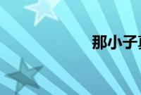 那小子真帅中文版