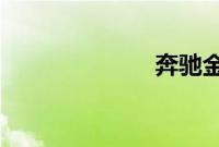 奔驰金融服务费