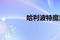 哈利波特魔法觉醒拼图寻宝
