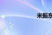 米振东真实身份