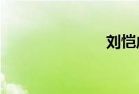 刘恺威的父亲