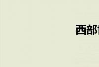 西部世界电影