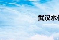 武汉水位突破25米