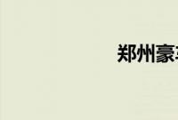 郑州豪车猛撞本田