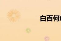 白百何赴巴黎看秀