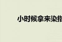 小时候拿来染指甲的指甲花其实是