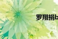 罗翔捐b站视频收入