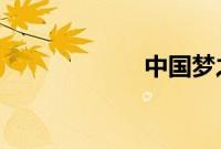 中国梦之声波澜哥