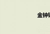 金钟铉 申世京