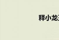 释小龙王宝强颁奖