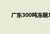 广东300吨冻眠10个月荔枝解冻上市