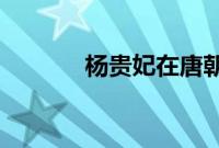 杨贵妃在唐朝能吃到西红柿吗
