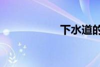 下水道的美人鱼中文