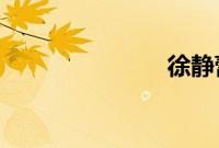 徐静蕾的电影