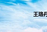 王珞丹闪婚闪离