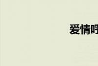 爱情呼叫转移二