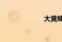 大黄蜂内地定档