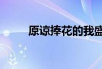 原谅捧花的我盛装出席只为错过你