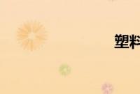 塑料姐妹花
