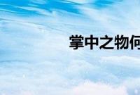 掌中之物何妍被多少人轮