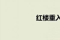 红楼重入之水定玉心