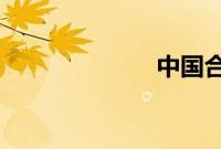 中国合伙人时长