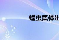 蝗虫集体出动时整整齐齐
