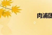 肉浦团在线观看