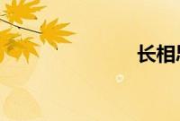 长相思第二季