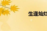 生逢灿烂的日子小说