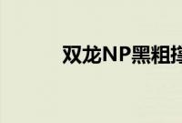 双龙NP黑粗撑开宫颈口BL下人