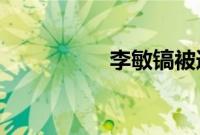 李敏镐被追缴数亿韩元