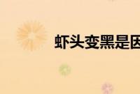 虾头变黑是因为重金属超标吗