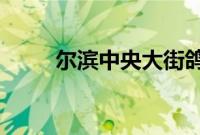 尔滨中央大街鸽子被游客喂成鸽猪