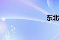 东北一家人3