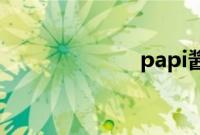 papi酱老公是谁
