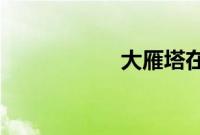 大雁塔在哪里个城市