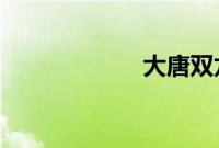 大唐双龙传师妃暄