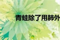 青蛙除了用肺外还用什么器官呼吸?