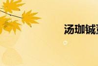 汤珈铖董思阳结婚