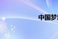 中国梦想秀张馨月