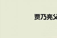 贾乃亮父母个人资料