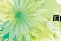 藤门留学