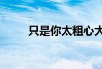 只是你太粗心大意忽略了我的感受