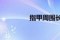 指甲周围长倒刺蚂蚁庄园