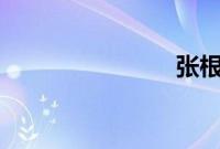 张根硕 整容