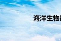 海洋生物最丰富的大洋