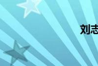 刘志轩伤退