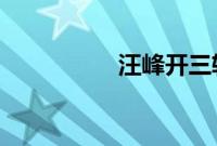 汪峰开三轮摩托车撞树